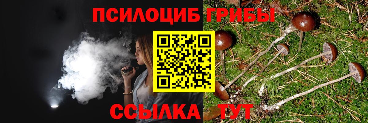Псилоцибиновые грибы Psilocybe  Галлюциногенные грибы Psilocybine cubensis  даркнет сайт  Сосновый Бор  Вход с VPN 